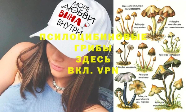 Альфа ПВП Алзамай